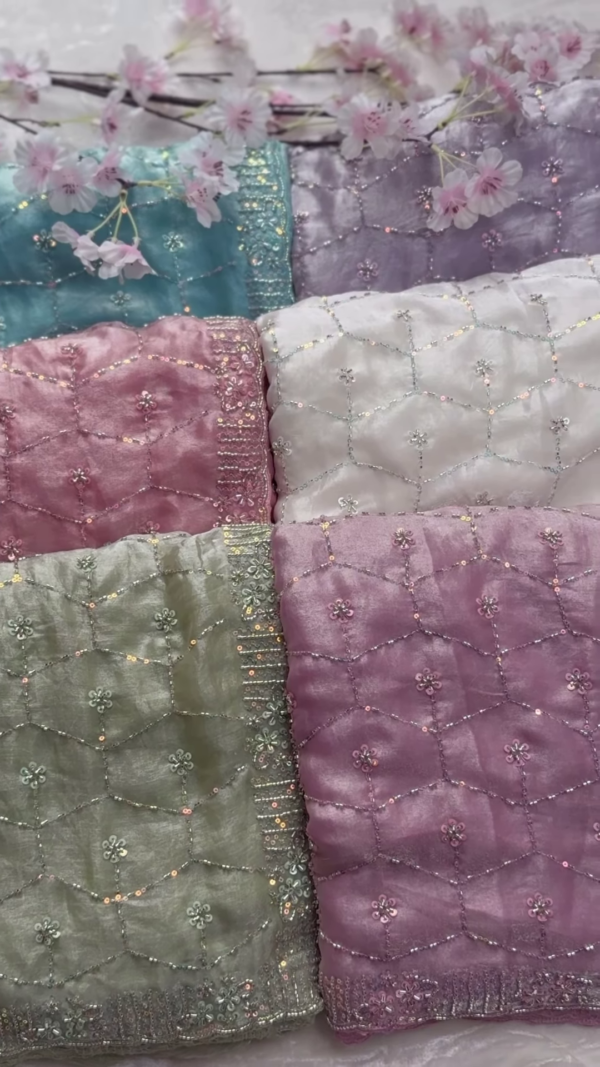 Ethereal Sheer Embroidered Dupatta Collection
